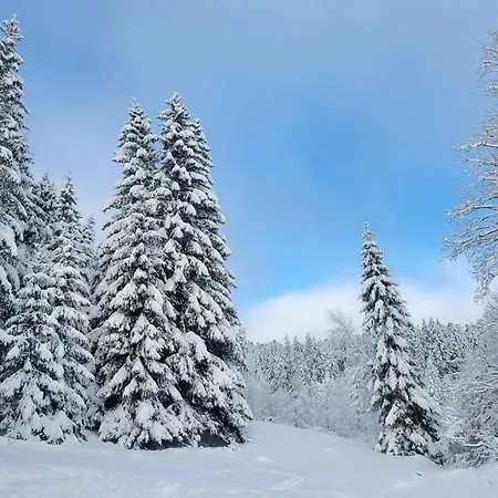 Chalet Anould Anould
